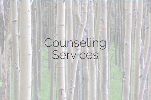 counseling services